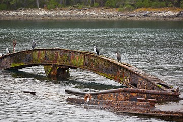 Image showing Shipwreck in the water