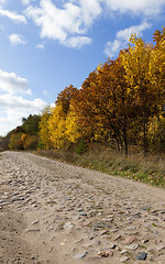 Image showing road in the autumn season