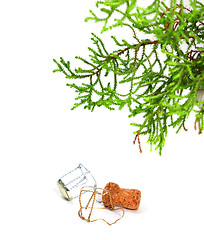 Image showing Branch of decorative home Christmas-tree and champagne wine cork