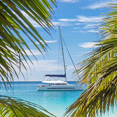 Image showing Catamaran sailing boat seen trough palm tree leaves on beach, Seychelles.