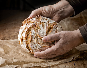 Image showing freshly baked bread