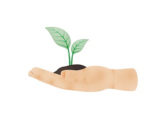 Image showing hand viewed from side with green plant on palm