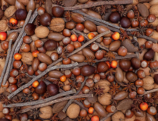 Image showing Festive natural background of mixed nuts, spices and crab apples