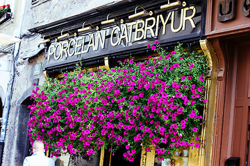 Image showing Ljubljana, shop sign decorated with red flowers