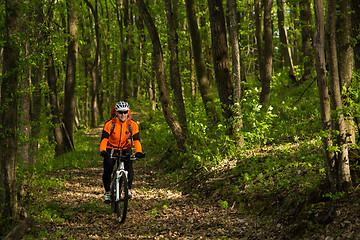 Image showing Cyclist Riding the Bike on a Trail in Summer Forest