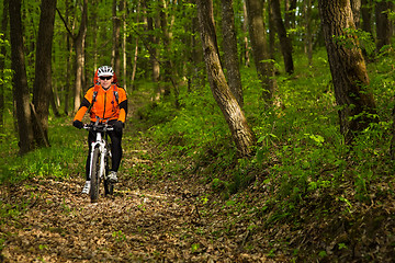 Image showing Cyclist Riding the Bike on a Trail in Summer Forest