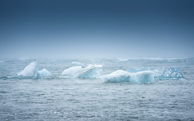 Image showing Blue icebergs closeup