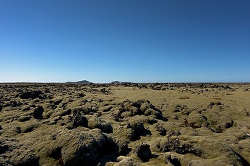 Image showing Iceland lava field covered with green moss