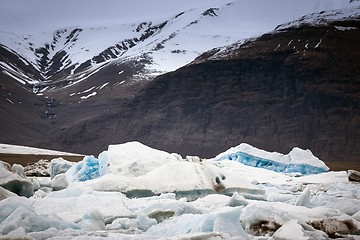 Image showing Blue icebergs closeup