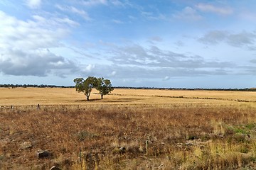 Image showing Fields of Australian wild landscape