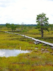 Image showing Duckboards at Torronsuo National Park, Finland