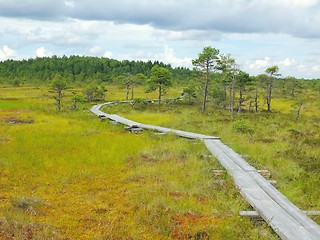 Image showing Duckboards at Torronsuo National Park, Finland