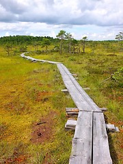 Image showing Duckboards at Torronsuo National Park, Finland