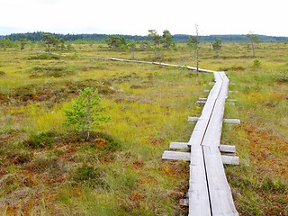 Image showing Duckboards at Torronsuo National Park, Finland