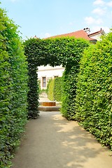 Image showing Wallenstein Palace gardens in Prague, summer
