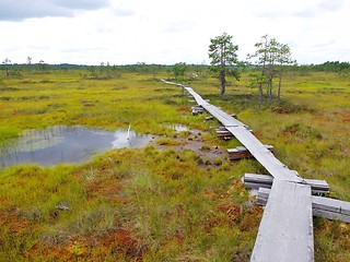 Image showing Duckboards at Torronsuo National Park, Finland