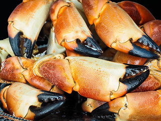 Image showing Pile of orange boiled with black tip, crab claws, at closeup