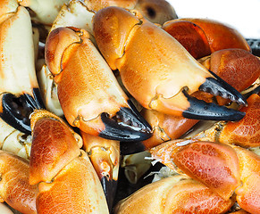 Image showing Pile of orange boiled with black tip, crab claws, at closeup