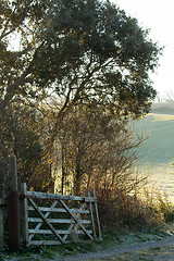 Image showing Countryside Gate and Track