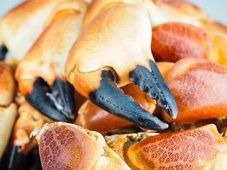 Image showing Pile of orange boiled with black tip, crab claws, at closeup