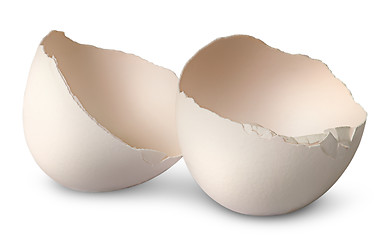 Image showing Two halves from crashed egg