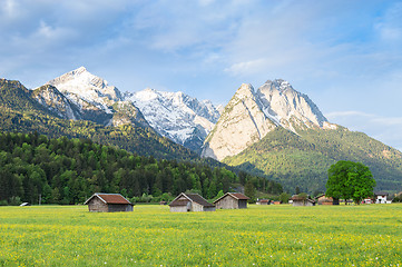 Image showing Bavarian serene landscape with snowy Alps mountains and spring f