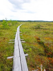 Image showing Duckboards at Torronsuo National Park, Finland