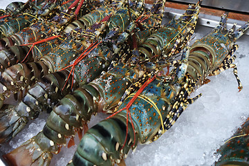 Image showing Fresh lobsters on ice for sale at market