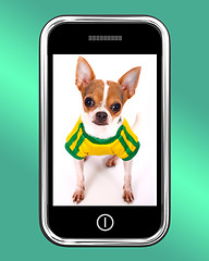 Image showing Cute Chihuahua Dog Photo On Mobile Phone