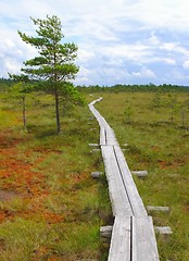 Image showing Duckboards at Torronsuo National Park, Finland