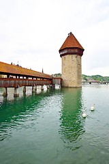 Image showing Chapel Bridge and two swans in Lucerne