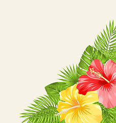 Image showing Vintage Background with Colorful Hibiscus Flowers