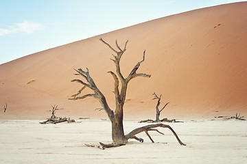 Image showing Sossusvlei, Namibia