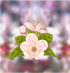 Image showing Cherry Blossom, Blur Nature Background