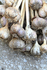 Image showing garlic vegetable background