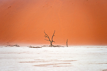 Image showing Sossusvlei, Namibia