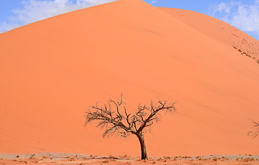 Image showing sand dune