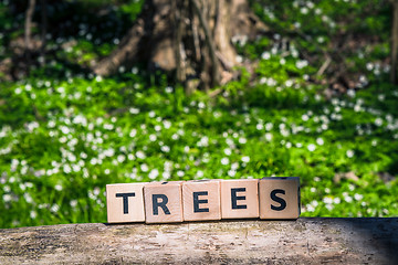 Image showing Tree sign in a green forest