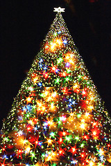 Image showing xmas tree from the christmas lights