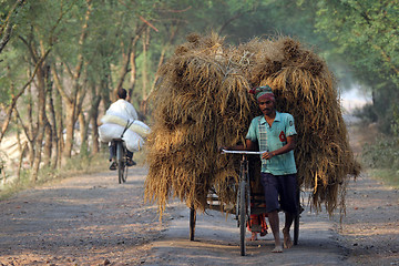 Image showing Rickshaw rider transports rice from the farm home in Baidyapur, West Bengal, India