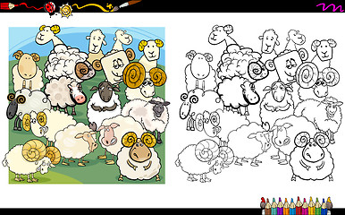 Image showing sheep characters coloring book