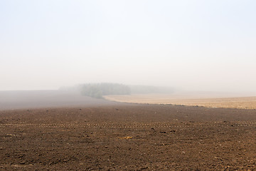 Image showing autumn in the park