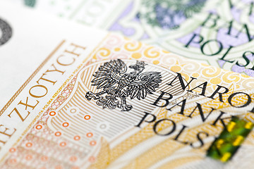 Image showing Polish Zloty closeup