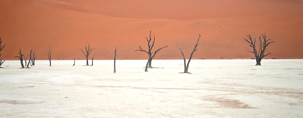 Image showing Sossusvlei, Namibia