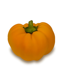 Image showing Photo Realistic Pumpkin Vegetable