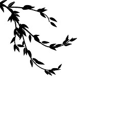 Image showing  Black Silhouette Branch Tree with Leafs