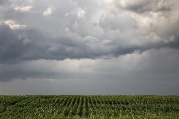 Image showing Storm Clouds Saskatchewan