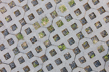 Image showing Paving-stone in a lattice shape