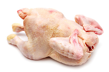 Image showing Chicken