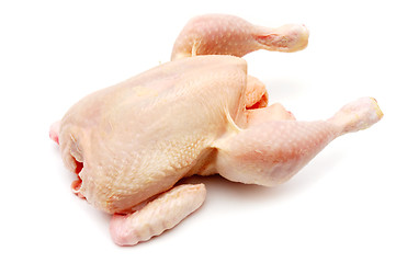 Image showing Chicken